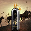 Arabians Tonka EDP (100ml) – Intensely Sweet Tonka Bean, Oud & Amber Fragrance