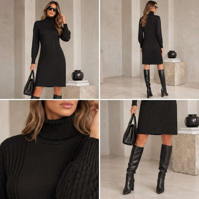 Tricot Chic Black Textured Polo Neck Dress Main Image