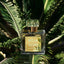 Isola Verde Parfum 50ml – Luxury Fresh Green & Woody Unisex Fragrance