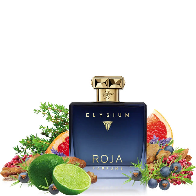 Elysium Parfum Cologne 100ml – Fresh Citrus & Woody Luxury Fragrance Main Image