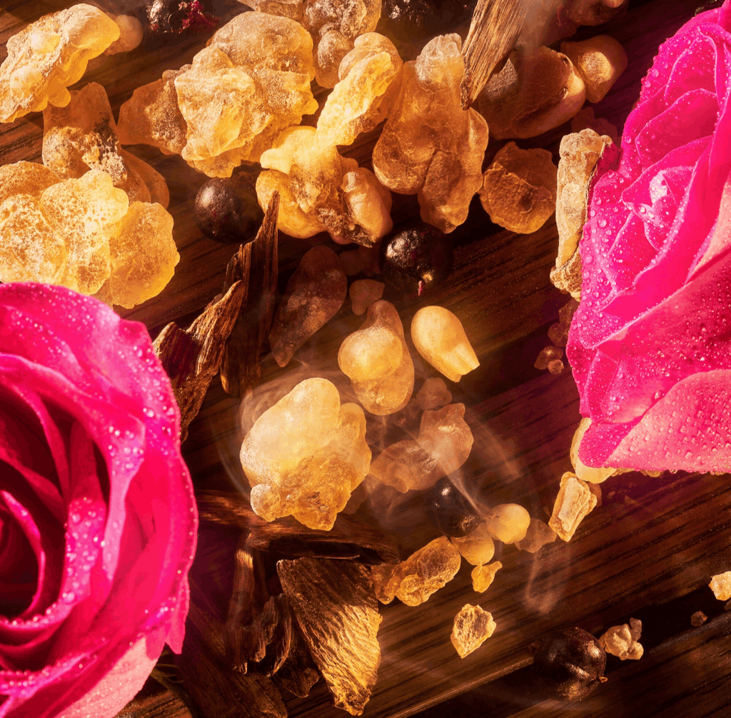 ROJA Taif Aoud