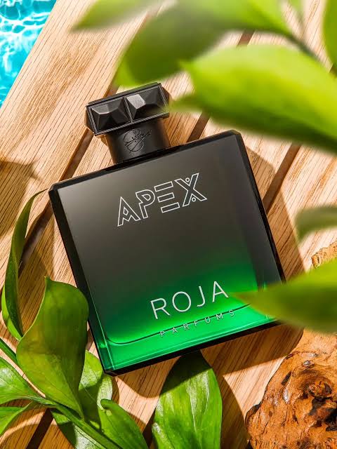 Apex Parfum Cologne 100ml – Fresh Citrus & Woody Long-Lasting Men's Fragrance