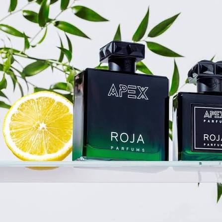 Apex Parfum Cologne 100ml – Fresh Citrus & Woody Long-Lasting Men's Fragrance
