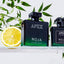 Apex Parfum Cologne 100ml – Fresh Citrus & Woody Long-Lasting Men's Fragrance