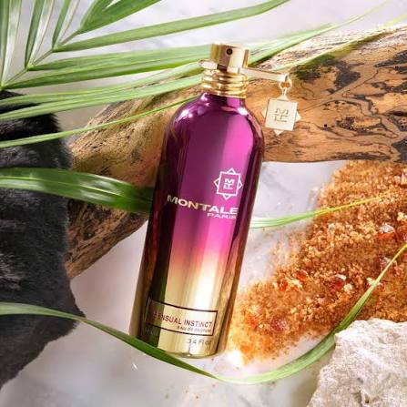 Sensual Instinct EDP (100ml) – Intensely Roasted Coffee, Praline & Rose Gourmand Fragrance