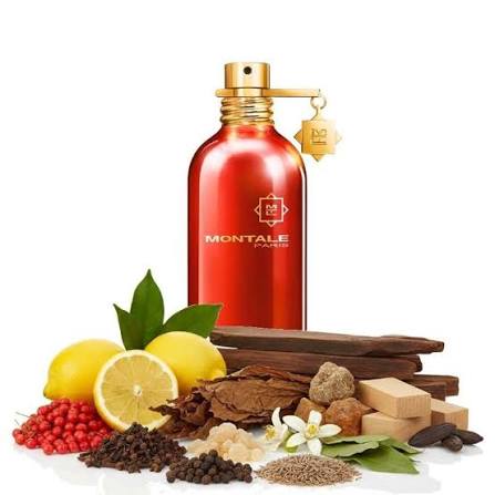 Oud Tobacco EDP (100ml) – Warm Tobacco Leaf, Smoky Agarwood & Spiced Tonka Fragrance Hover Image