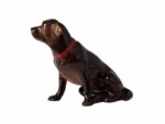 SCULPTURE LABRADOR CHOCOLATE