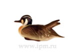 SCULPTURE №2 BAIKAL DUCK #2