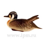 SCULPTURE №2 BAIKAL DUCK #2