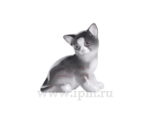 SCULPTURE SMALL SIZE KITTEN "PARAMOSHA" GRAY